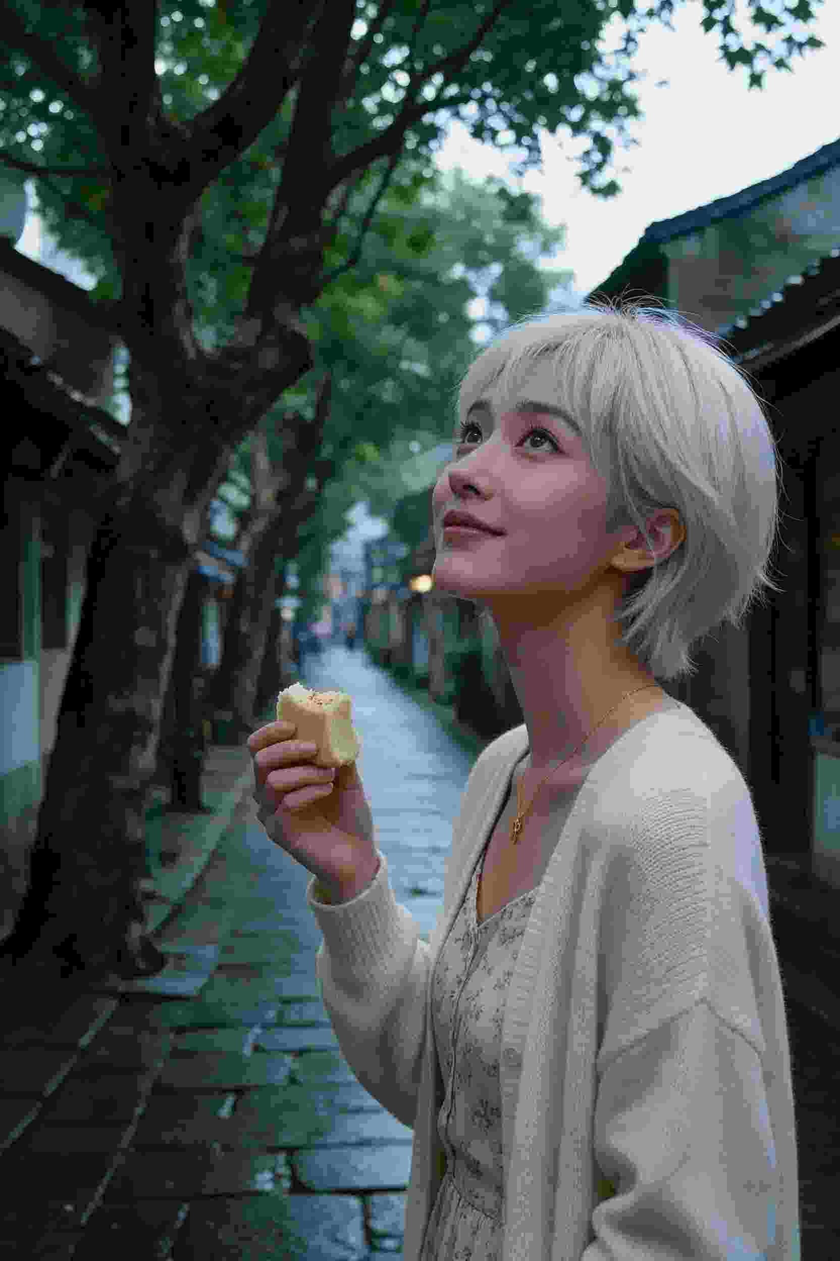 青春岁月